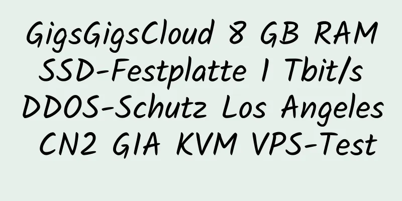 GigsGigsCloud 8 GB RAM SSD-Festplatte 1 Tbit/s DDOS-Schutz Los Angeles CN2 GIA KVM VPS-Test