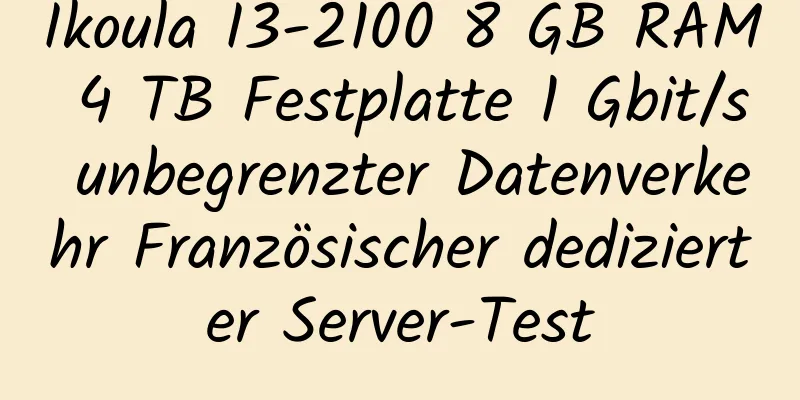 Ikoula I3-2100 8 GB RAM 4 TB Festplatte 1 Gbit/s unbegrenzter Datenverkehr Französischer dedizierter Server-Test