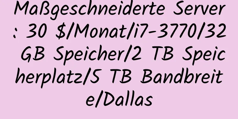 Maßgeschneiderte Server: 30 $/Monat/i7-3770/32 GB Speicher/2 TB Speicherplatz/5 TB Bandbreite/Dallas