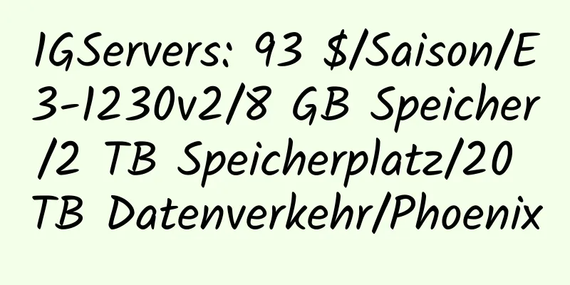 1GServers: 93 $/Saison/E3-1230v2/8 GB Speicher/2 TB Speicherplatz/20 TB Datenverkehr/Phoenix