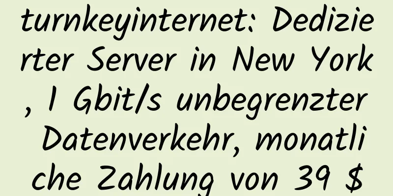 turnkeyinternet: Dedizierter Server in New York, 1 Gbit/s unbegrenzter Datenverkehr, monatliche Zahlung von 39 $