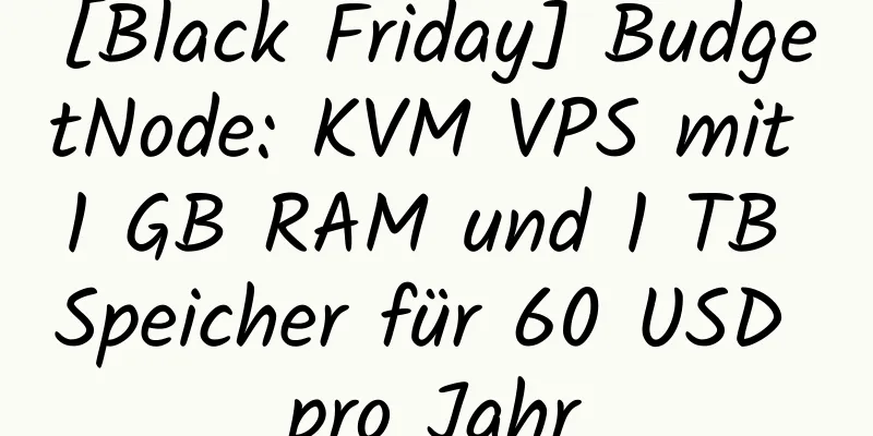 [Black Friday] BudgetNode: KVM VPS mit 1 GB RAM und 1 TB Speicher für 60 USD pro Jahr