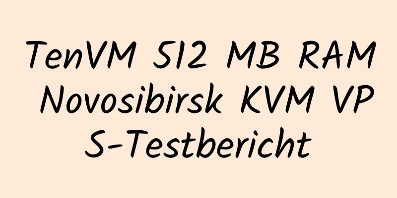 TenVM 512 MB RAM Novosibirsk KVM VPS-Testbericht