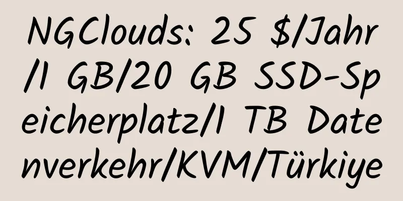 NGClouds: 25 $/Jahr/1 GB/20 GB SSD-Speicherplatz/1 TB Datenverkehr/KVM/Türkiye