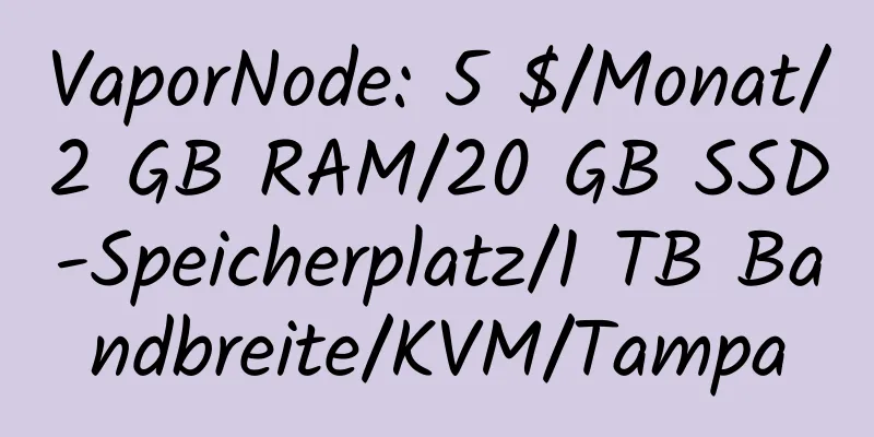 VaporNode: 5 $/Monat/2 GB RAM/20 GB SSD-Speicherplatz/1 TB Bandbreite/KVM/Tampa