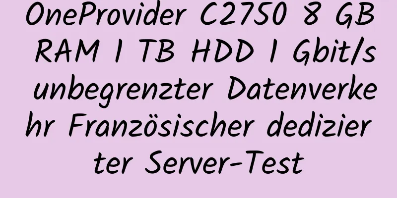 OneProvider C2750 8 GB RAM 1 TB HDD 1 Gbit/s unbegrenzter Datenverkehr Französischer dedizierter Server-Test