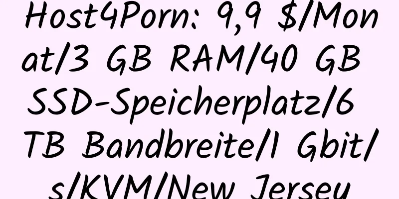 Host4Porn: 9,9 $/Monat/3 GB RAM/40 GB SSD-Speicherplatz/6 TB Bandbreite/1 Gbit/s/KVM/New Jersey