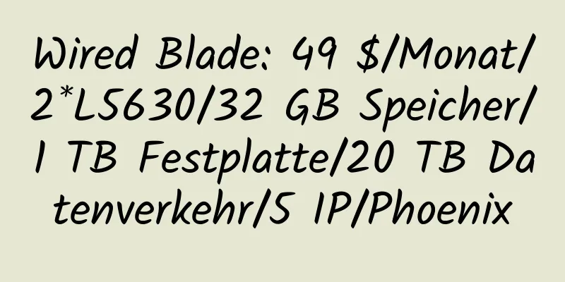 Wired Blade: 49 $/Monat/2*L5630/32 GB Speicher/1 TB Festplatte/20 TB Datenverkehr/5 IP/Phoenix