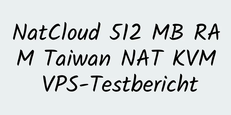 NatCloud 512 MB RAM Taiwan NAT KVM VPS-Testbericht