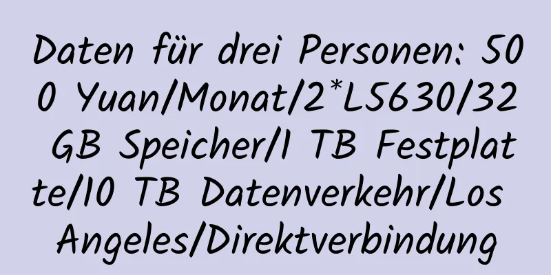 Daten für drei Personen: 500 Yuan/Monat/2*L5630/32 GB Speicher/1 TB Festplatte/10 TB Datenverkehr/Los Angeles/Direktverbindung