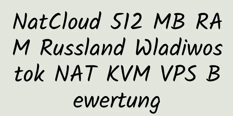 NatCloud 512 MB RAM Russland Wladiwostok NAT KVM VPS Bewertung