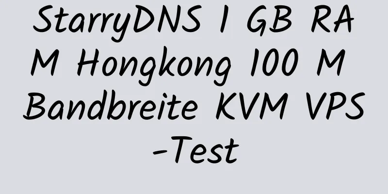 StarryDNS 1 GB RAM Hongkong 100 M Bandbreite KVM VPS-Test