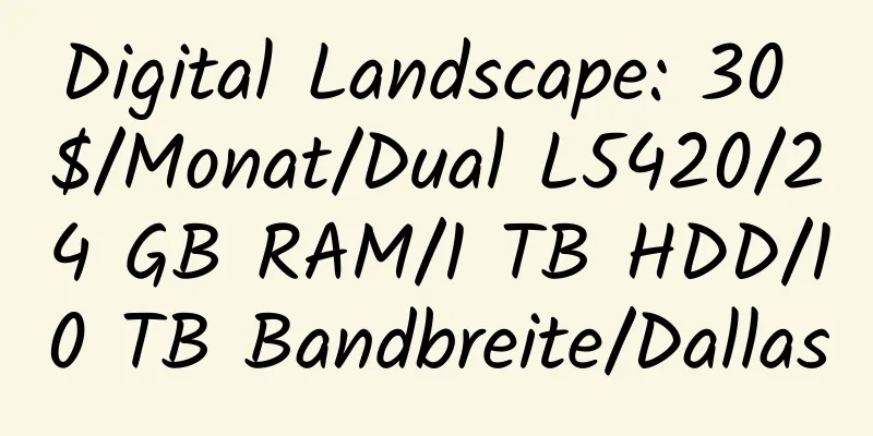 Digital Landscape: 30 $/Monat/Dual L5420/24 GB RAM/1 TB HDD/10 TB Bandbreite/Dallas