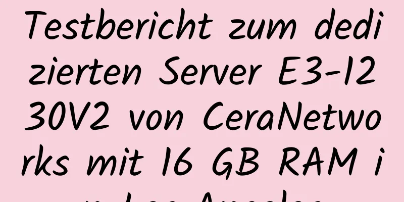 Testbericht zum dedizierten Server E3-1230V2 von CeraNetworks mit 16 GB RAM in Los Angeles