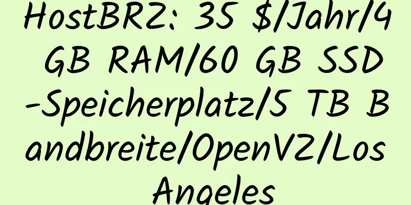 HostBRZ: 35 $/Jahr/4 GB RAM/60 GB SSD-Speicherplatz/5 TB Bandbreite/OpenVZ/Los Angeles