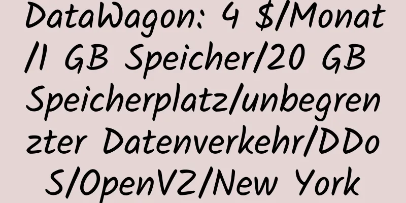 DataWagon: 4 $/Monat/1 GB Speicher/20 GB Speicherplatz/unbegrenzter Datenverkehr/DDoS/OpenVZ/New York