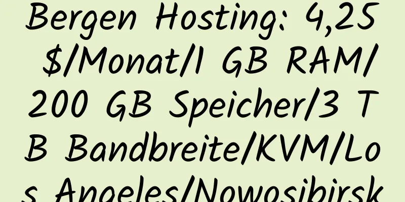 Bergen Hosting: 4,25 $/Monat/1 GB RAM/200 GB Speicher/3 TB Bandbreite/KVM/Los Angeles/Nowosibirsk