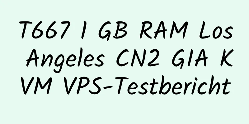 T667 1 GB RAM Los Angeles CN2 GIA KVM VPS-Testbericht