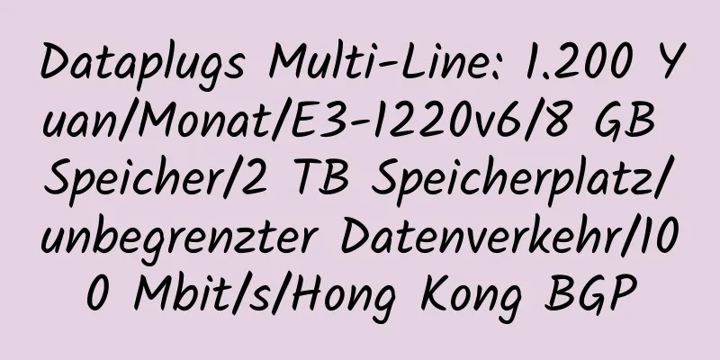 Dataplugs Multi-Line: 1.200 Yuan/Monat/E3-1220v6/8 GB Speicher/2 TB Speicherplatz/unbegrenzter Datenverkehr/100 Mbit/s/Hong Kong BGP