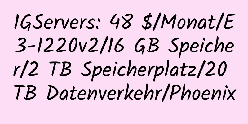 1GServers: 48 $/Monat/E3-1220v2/16 GB Speicher/2 TB Speicherplatz/20 TB Datenverkehr/Phoenix