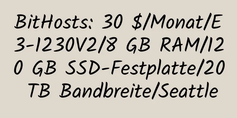 BitHosts: 30 $/Monat/E3-1230V2/8 GB RAM/120 GB SSD-Festplatte/20 TB Bandbreite/Seattle