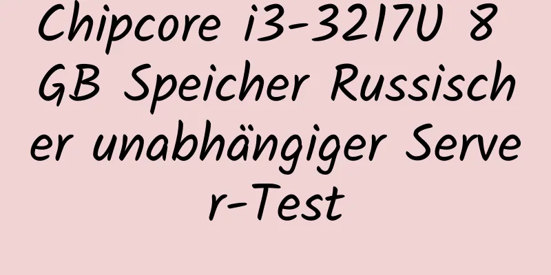 Chipcore i3-3217U 8 GB Speicher Russischer unabhängiger Server-Test