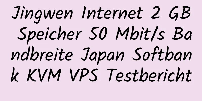 Jingwen Internet 2 GB Speicher 50 Mbit/s Bandbreite Japan Softbank KVM VPS Testbericht