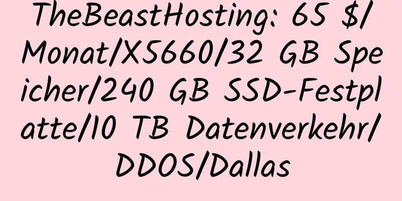 TheBeastHosting: 65 $/Monat/X5660/32 GB Speicher/240 GB SSD-Festplatte/10 TB Datenverkehr/DDOS/Dallas