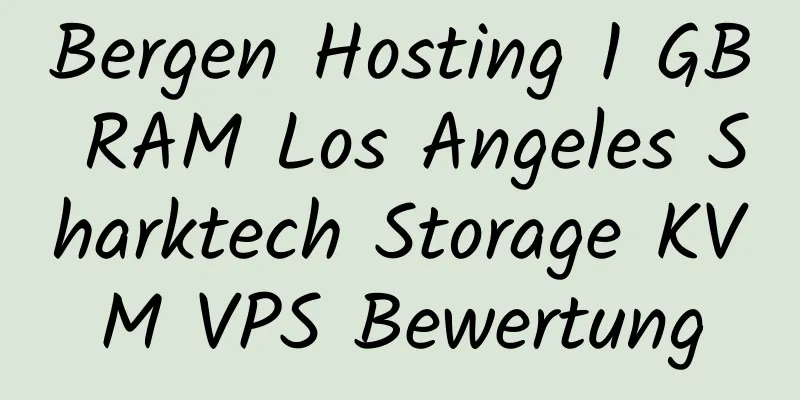 Bergen Hosting 1 GB RAM Los Angeles Sharktech Storage KVM VPS Bewertung