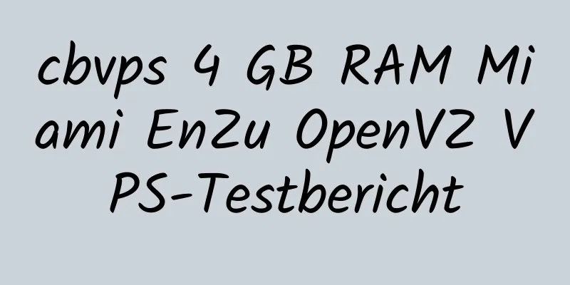 cbvps 4 GB RAM Miami EnZu OpenVZ VPS-Testbericht