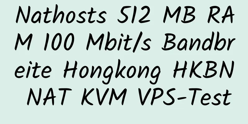 Nathosts 512 MB RAM 100 Mbit/s Bandbreite Hongkong HKBN NAT KVM VPS-Test