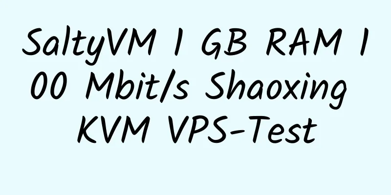 SaltyVM 1 GB RAM 100 Mbit/s Shaoxing KVM VPS-Test