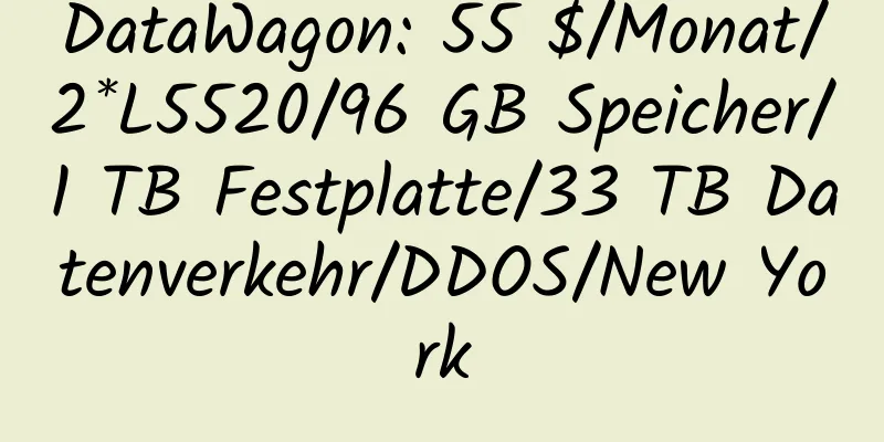 DataWagon: 55 $/Monat/2*L5520/96 GB Speicher/1 TB Festplatte/33 TB Datenverkehr/DDOS/New York