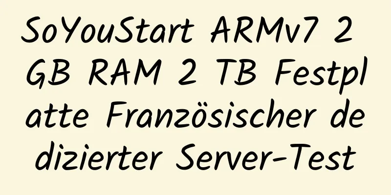 SoYouStart ARMv7 2 GB RAM 2 TB Festplatte Französischer dedizierter Server-Test