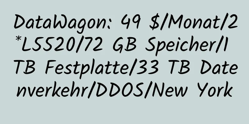 DataWagon: 49 $/Monat/2*L5520/72 GB Speicher/1 TB Festplatte/33 TB Datenverkehr/DDOS/New York