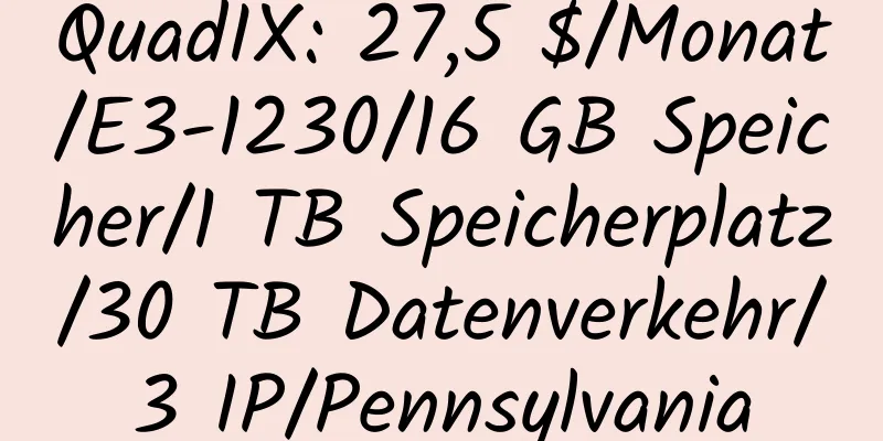 QuadIX: 27,5 $/Monat/E3-1230/16 GB Speicher/1 TB Speicherplatz/30 TB Datenverkehr/3 IP/Pennsylvania