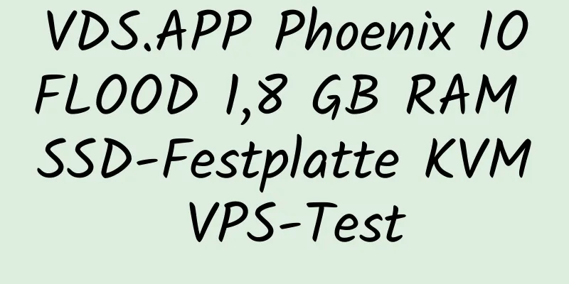 VDS.APP Phoenix IOFLOOD 1,8 GB RAM SSD-Festplatte KVM VPS-Test