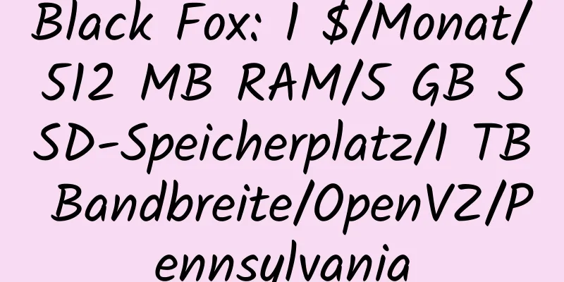 Black Fox: 1 $/Monat/512 MB RAM/5 GB SSD-Speicherplatz/1 TB Bandbreite/OpenVZ/Pennsylvania