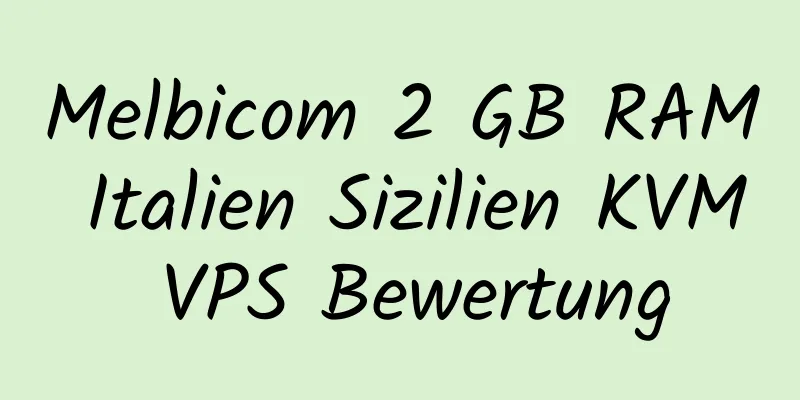 Melbicom 2 GB RAM Italien Sizilien KVM VPS Bewertung