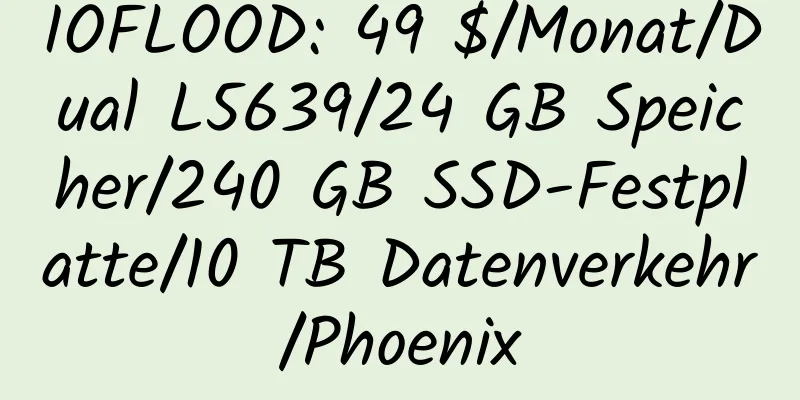 IOFLOOD: 49 $/Monat/Dual L5639/24 GB Speicher/240 GB SSD-Festplatte/10 TB Datenverkehr/Phoenix