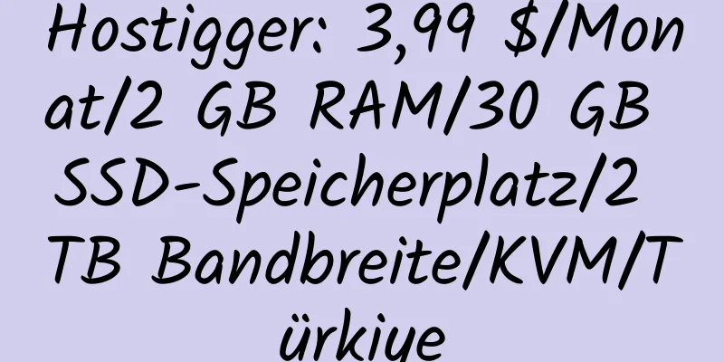 Hostigger: 3,99 $/Monat/2 GB RAM/30 GB SSD-Speicherplatz/2 TB Bandbreite/KVM/Türkiye