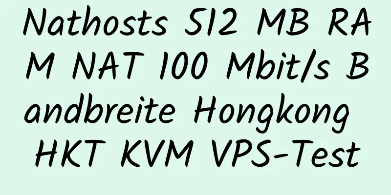 Nathosts 512 MB RAM NAT 100 Mbit/s Bandbreite Hongkong HKT KVM VPS-Test