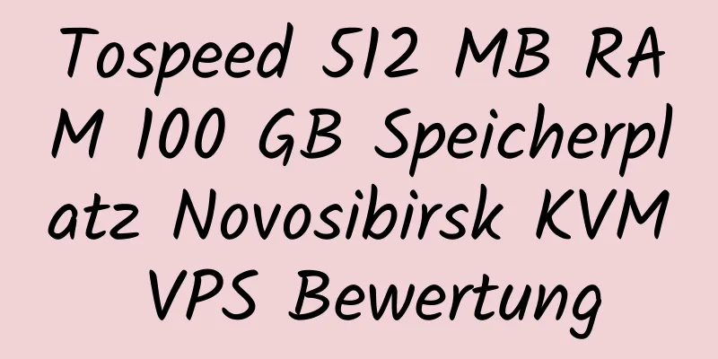 Tospeed 512 MB RAM 100 GB Speicherplatz Novosibirsk KVM VPS Bewertung