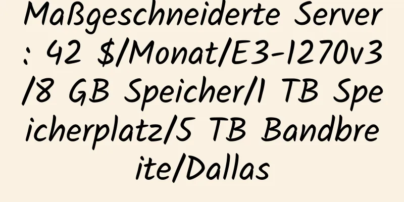 Maßgeschneiderte Server: 42 $/Monat/E3-1270v3/8 GB Speicher/1 TB Speicherplatz/5 TB Bandbreite/Dallas