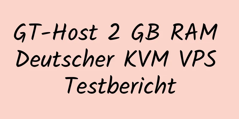 GT-Host 2 GB RAM Deutscher KVM VPS Testbericht