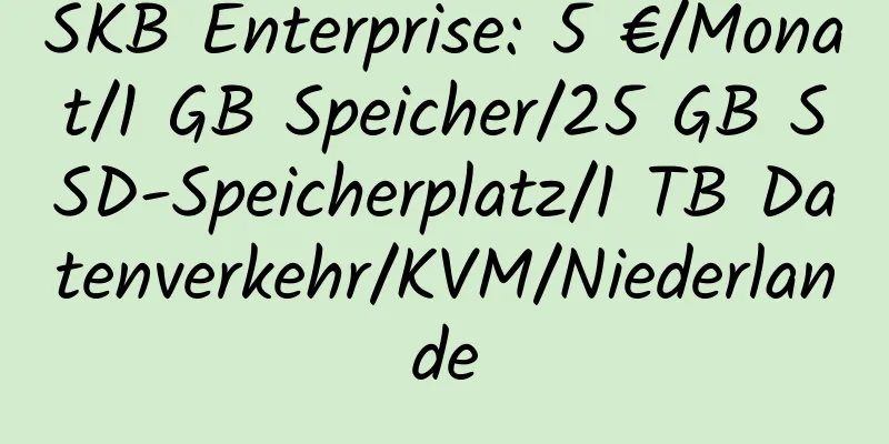 SKB Enterprise: 5 €/Monat/1 GB Speicher/25 GB SSD-Speicherplatz/1 TB Datenverkehr/KVM/Niederlande