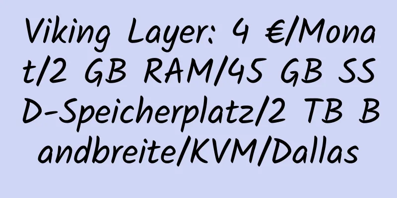 Viking Layer: 4 €/Monat/2 GB RAM/45 GB SSD-Speicherplatz/2 TB Bandbreite/KVM/Dallas