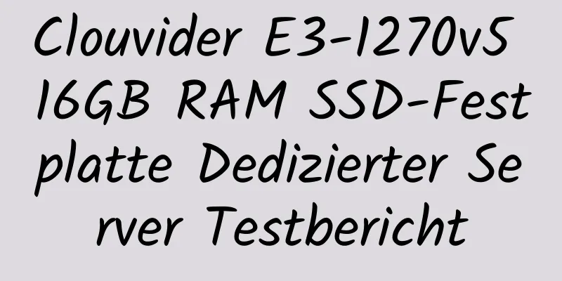 Clouvider E3-1270v5 16GB RAM SSD-Festplatte Dedizierter Server Testbericht