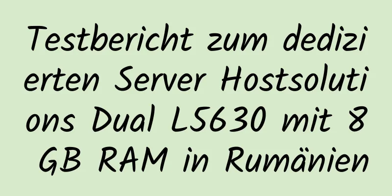 Testbericht zum dedizierten Server Hostsolutions Dual L5630 mit 8 GB RAM in Rumänien