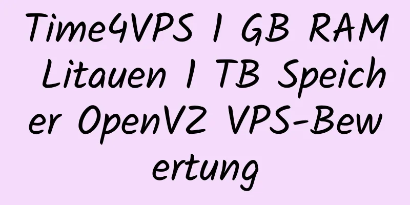 Time4VPS 1 GB RAM Litauen 1 TB Speicher OpenVZ VPS-Bewertung